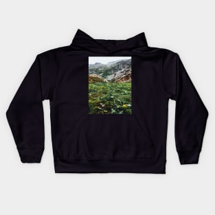 Swiss Alpine Moss Meadow Kids Hoodie